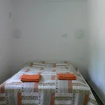 Speller 3* Vysoký Újezd
