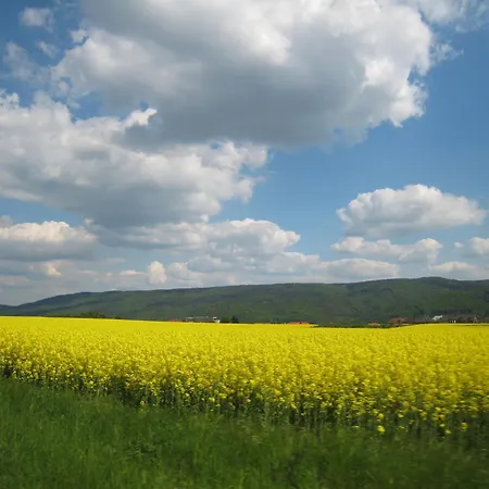Speller Guest house Vysoky Ujezd (Beroun)